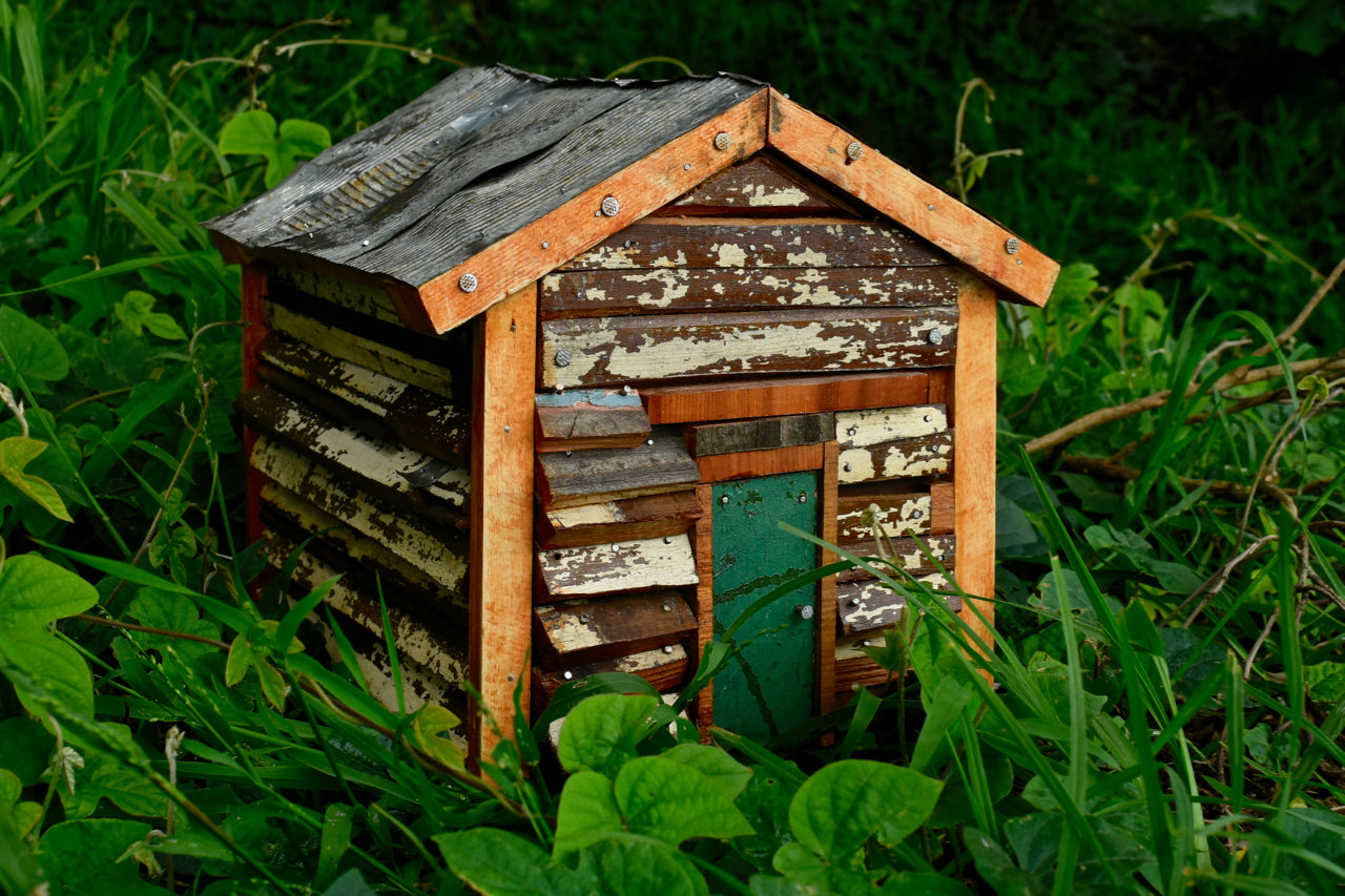 The Ruapuke House